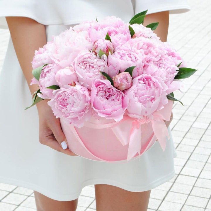 Пионы в шляпной коробке в Курске