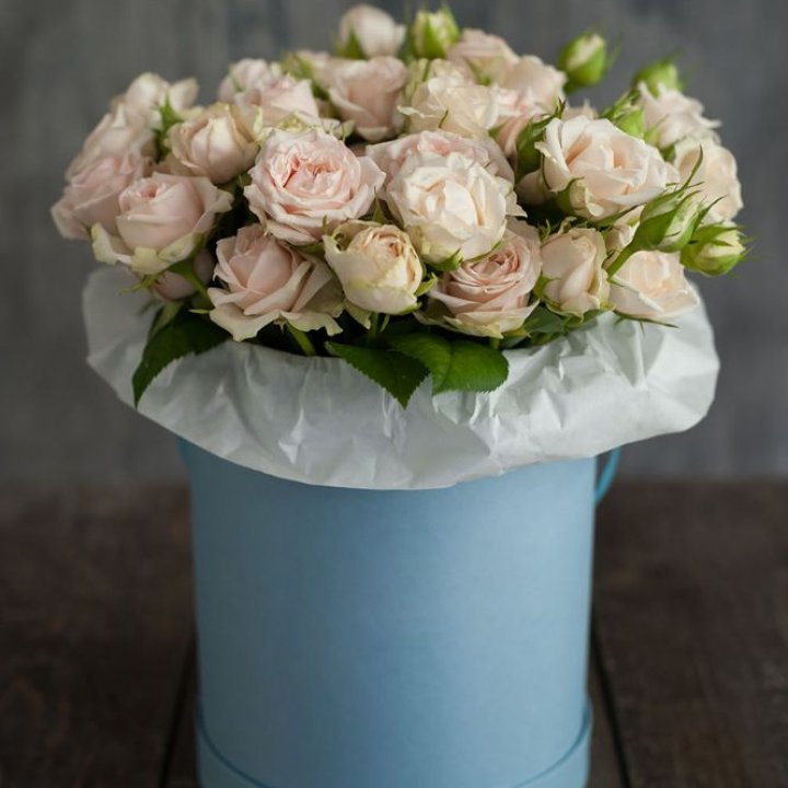 Бокс с бомбастиком в Курске