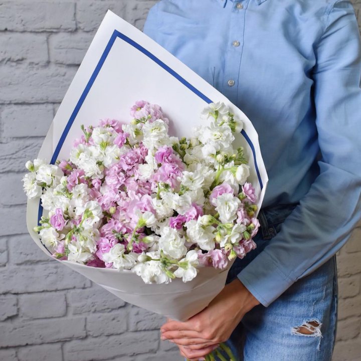 Маттиола в Курске