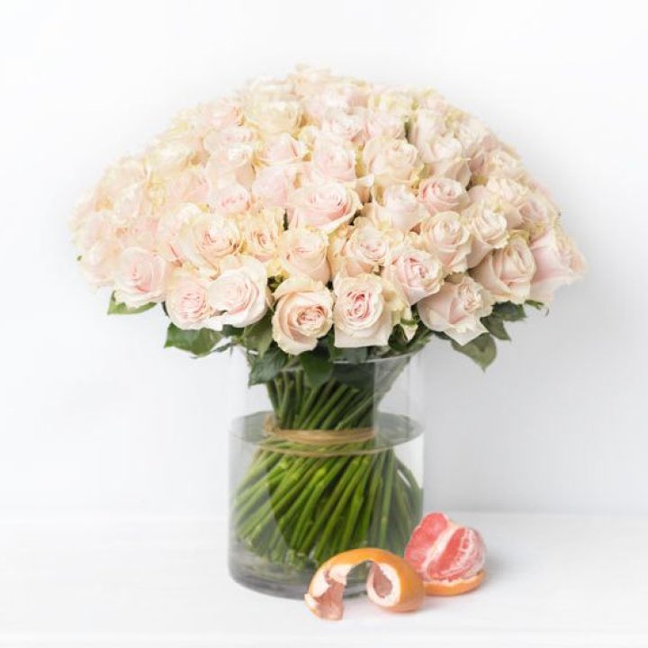 101 кремовая роза в Курске