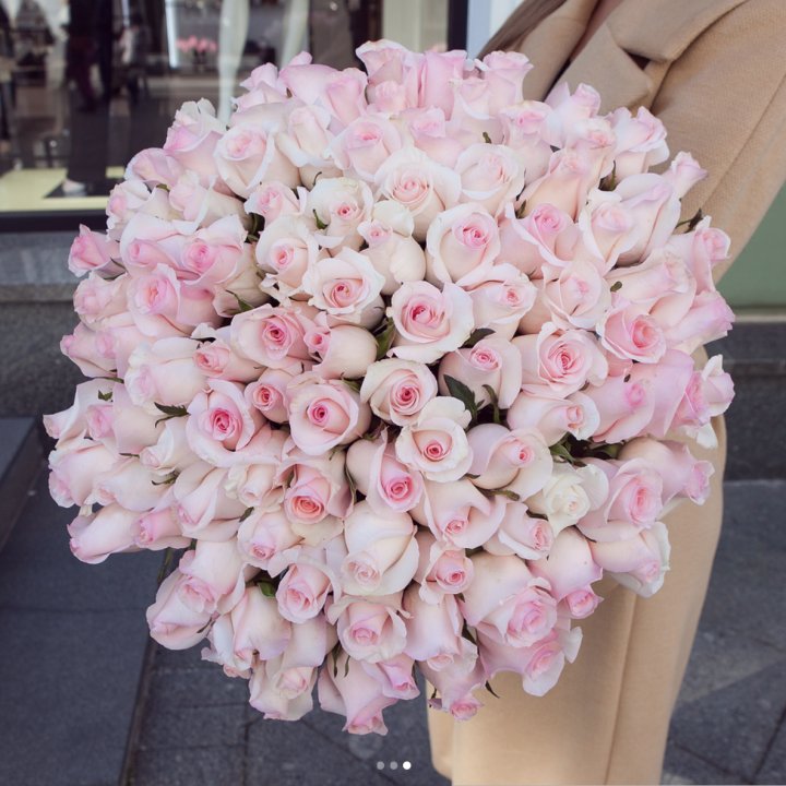 Розы "Пинк бум" в Курске