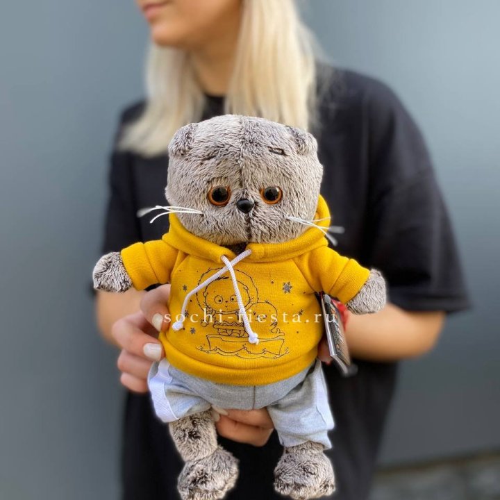 Кот Басик в худи в Курске