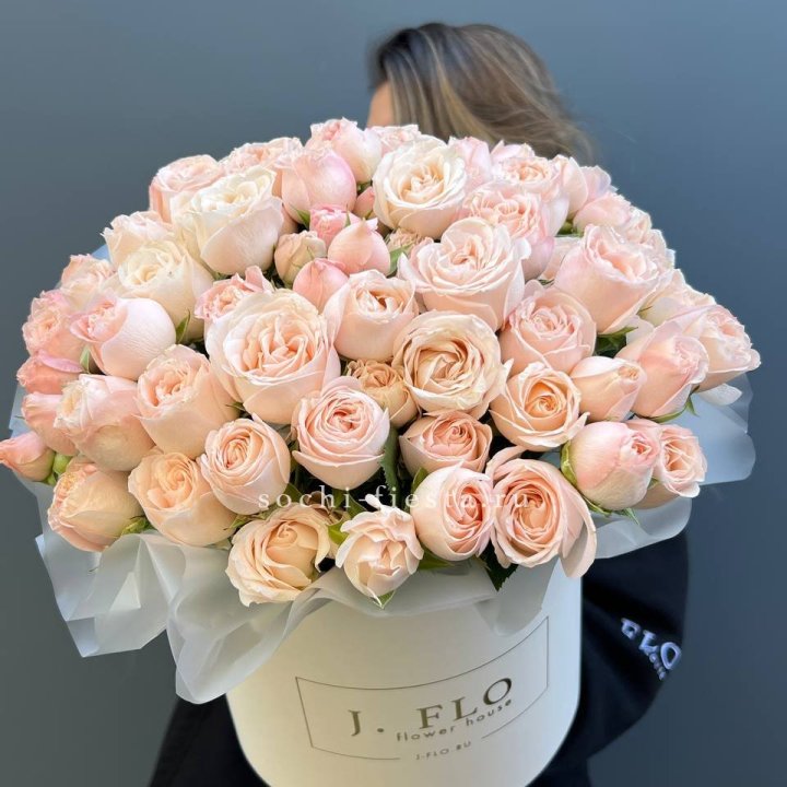 Бомбастик бокс Премьер в Курске