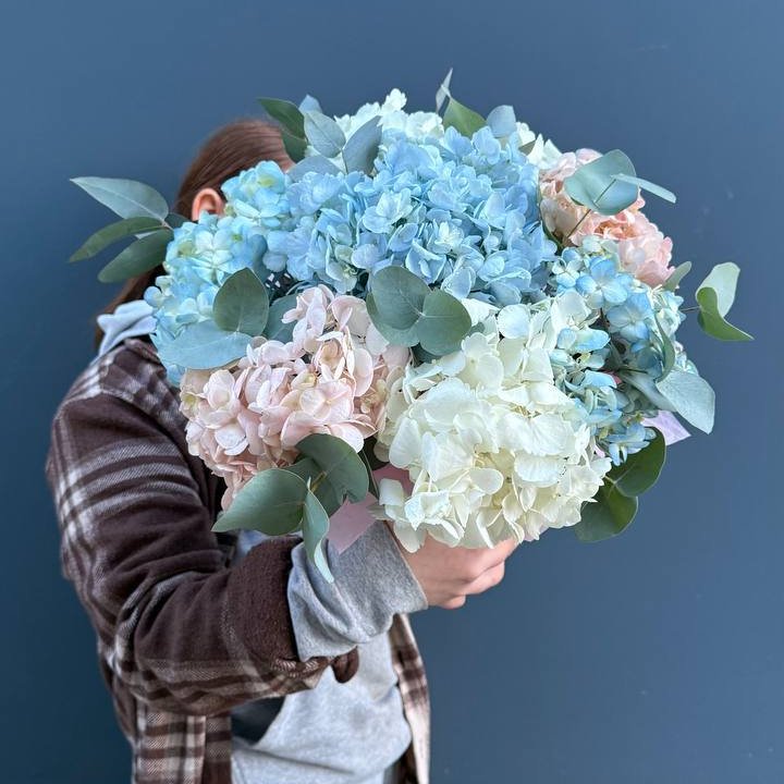 Гортензии в коробочке в Курске