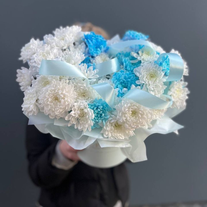 Хризнтемы в боксе в Курске