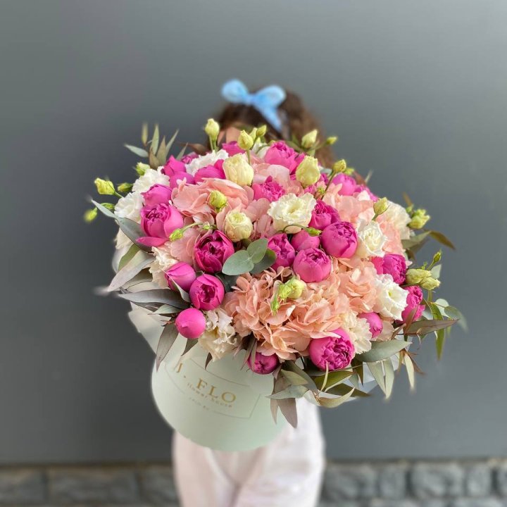 Бокс "Агата мисти" в Курске