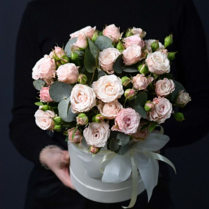 Бомбастик бокс №2 в Курске