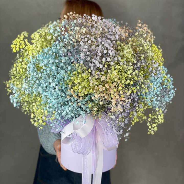 Бокс из гипсафил в Курске