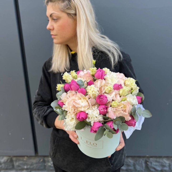 Сборный бокс премьер в Курске