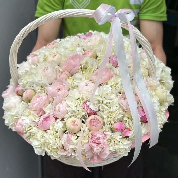Премиум корзина гортензий и пионов в Курске