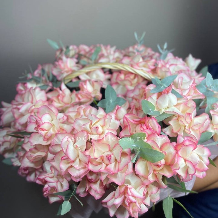 51 джумилия  в корзине   в Курске