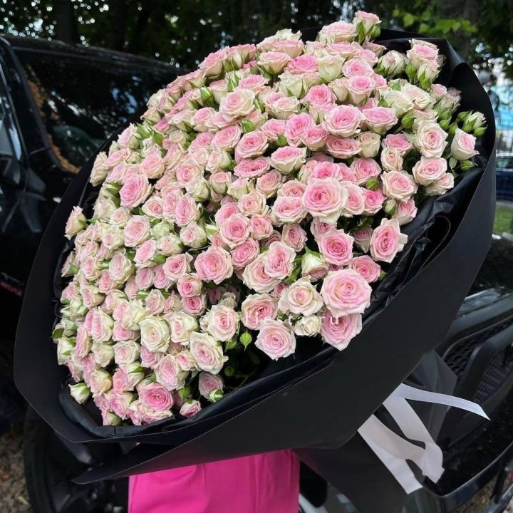 101 кустовая роза "Твистер" в Курске