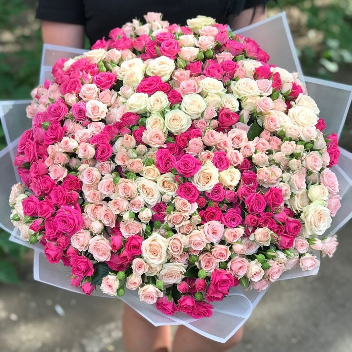 101 кустовая роза в Курске