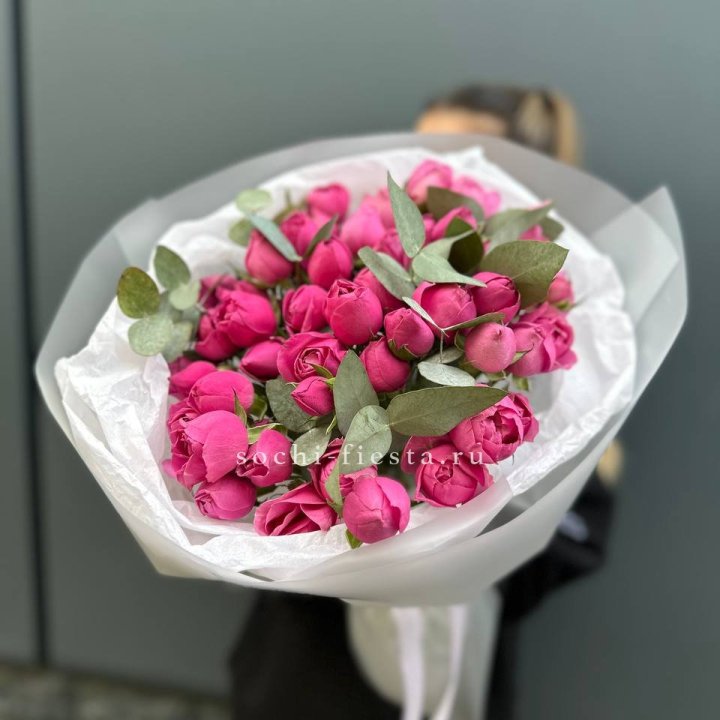 17 Мисти бабблс в Курске