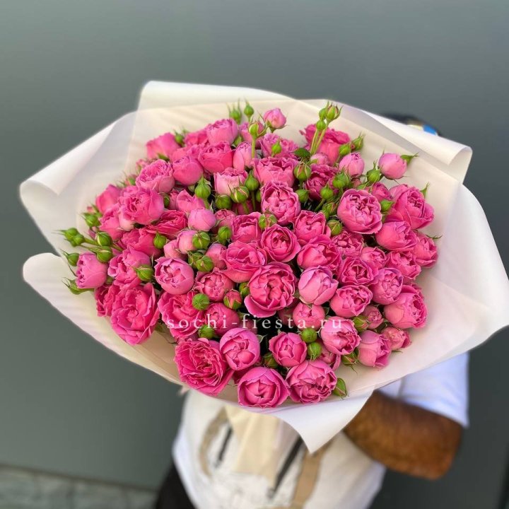 Мисти Баблс 35шт в Курске