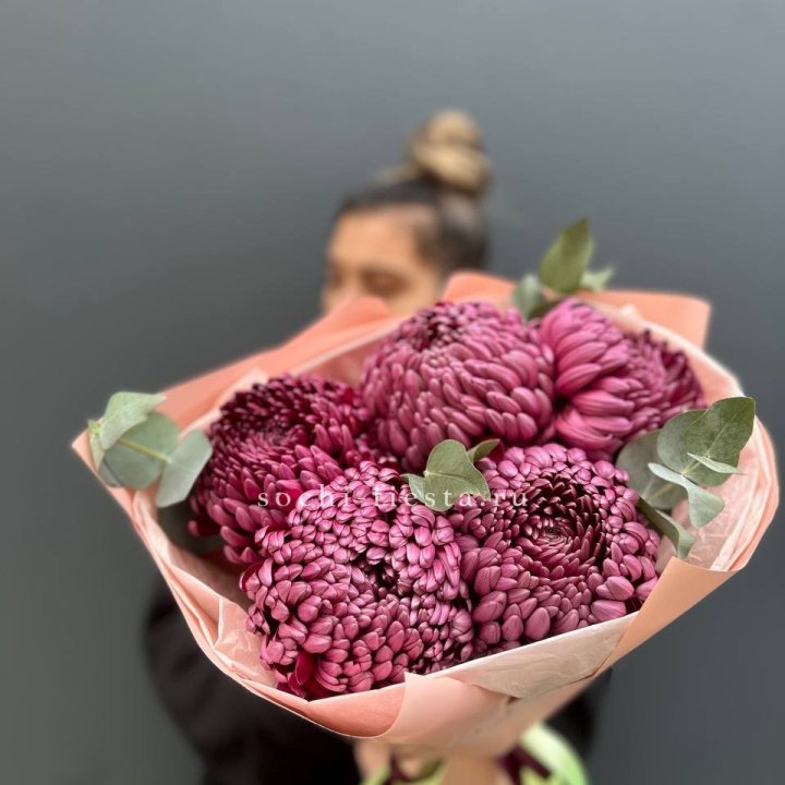 Хризантемы  Бигуди  в Курске