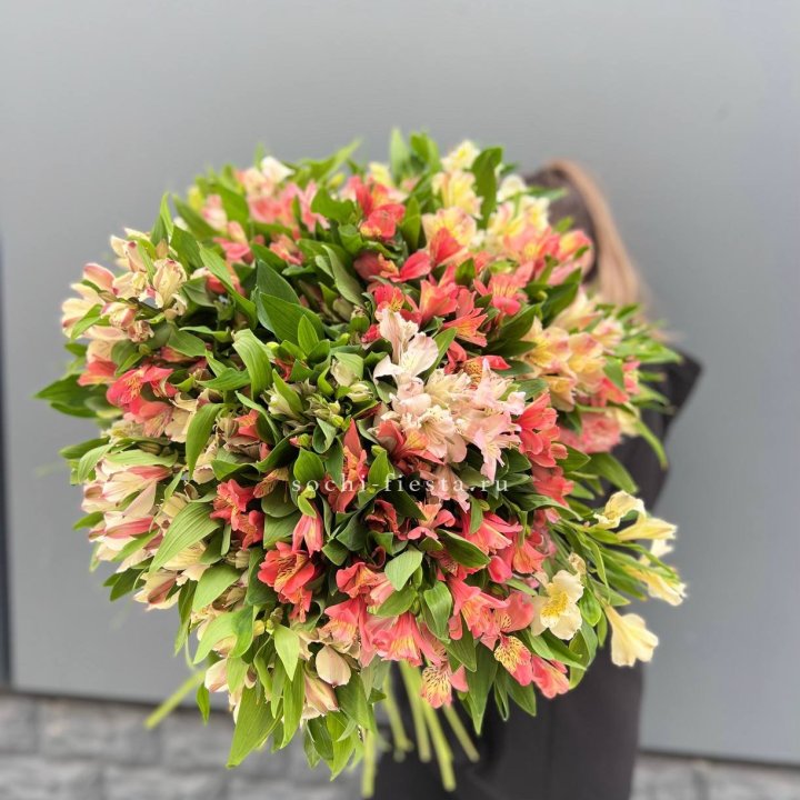 51 альстромерия в Курске