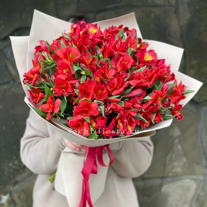 51 альстромерия в Курске