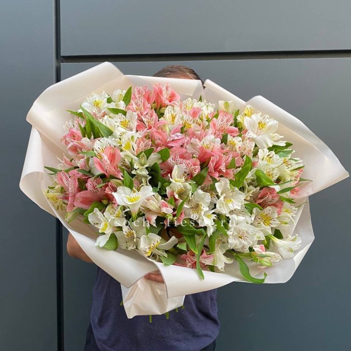 39 альстромерий в Курске