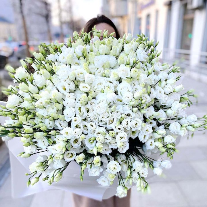 101 белая эустома в Курске