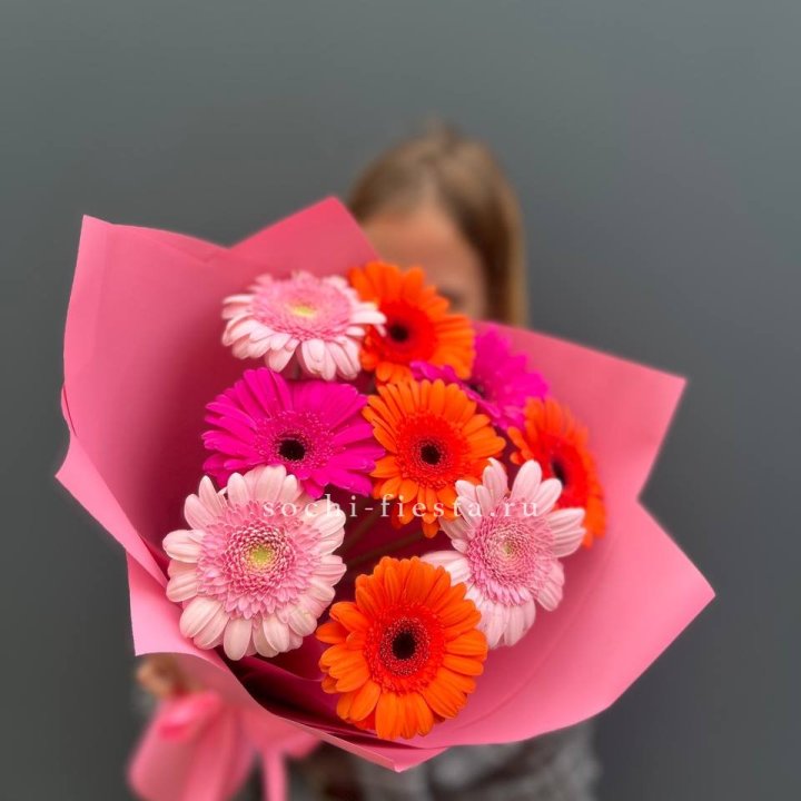 Краски в Курске