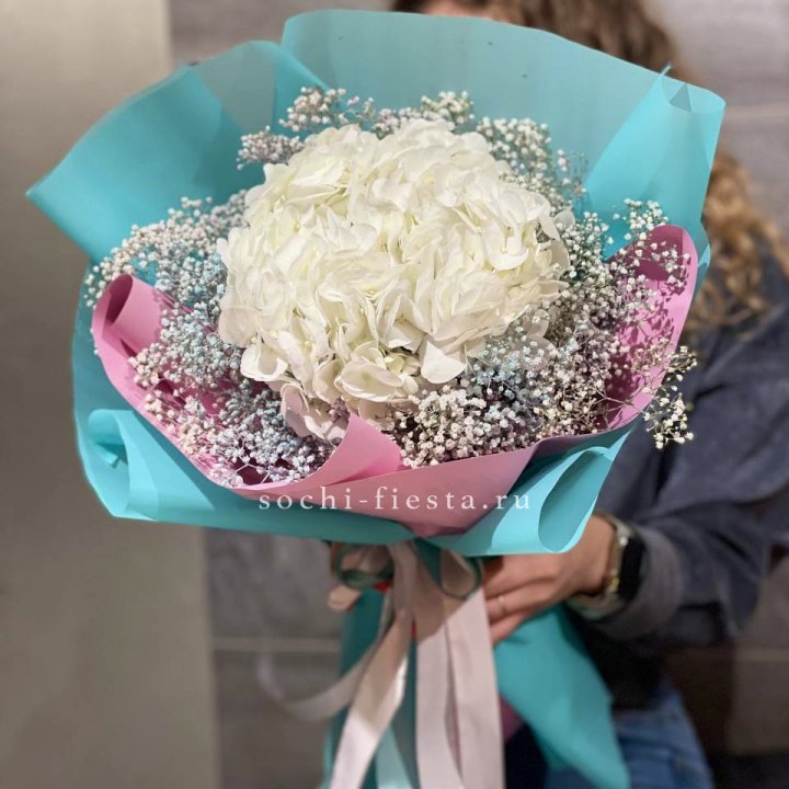 Гортензия "Райдов" в Курске