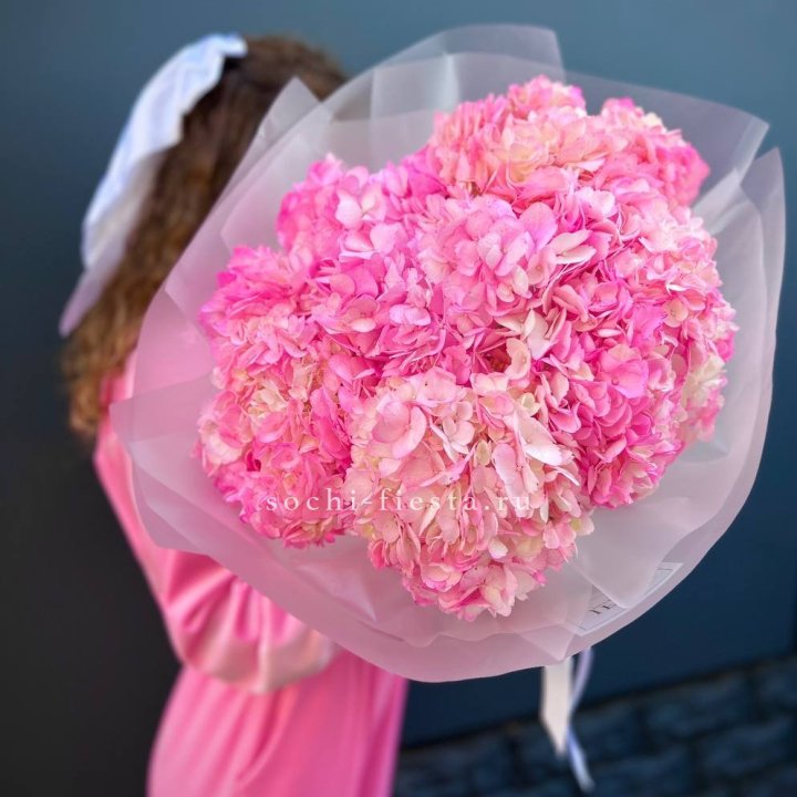 7 ярко розовых гортензий в Курске