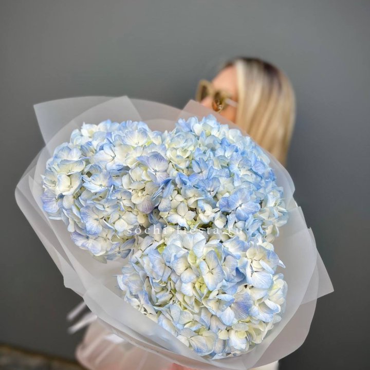 Букет из 3 голубых гортензий  в Курске