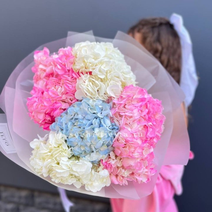 7 гортензий микс в Курске