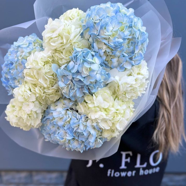 9 бело-голубых гортензий в Курске