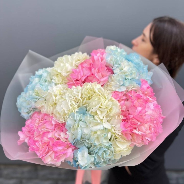 9 гортензий микс в Курске