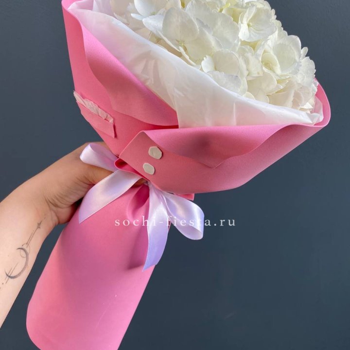 Гортензия в розовом пиджаке в Курске