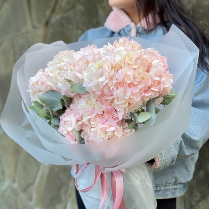 5 розовых гортензий в Курске