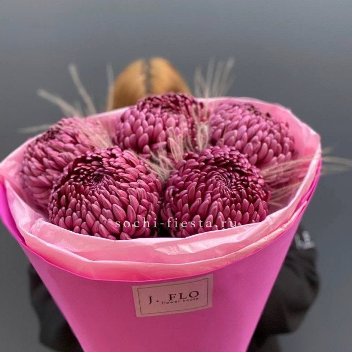 Хризантемы  Бигуди с стифой в Курске