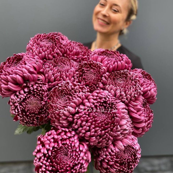 Охапка хризантем Бигуди в Курске