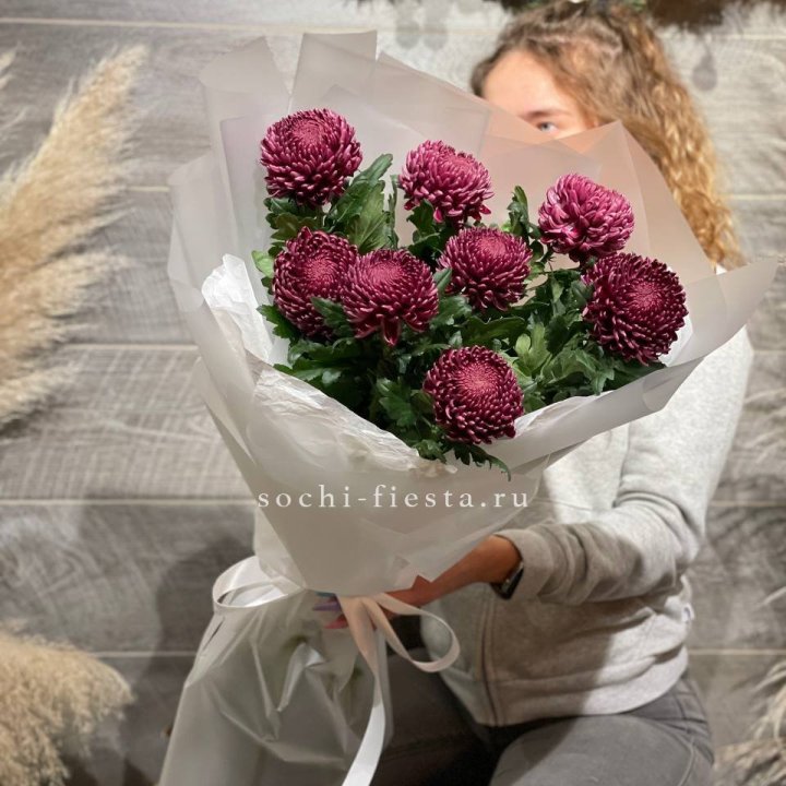 Хризантемы Бигуди в Курске