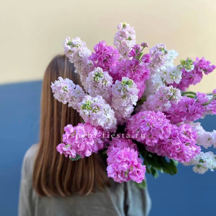 Охапка маттиолы в Курске