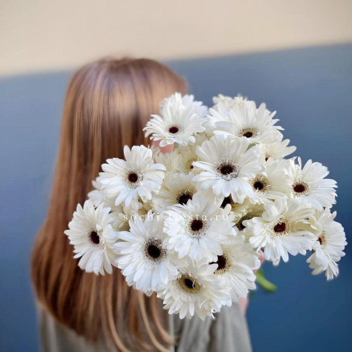 Охапка гербер в Курске