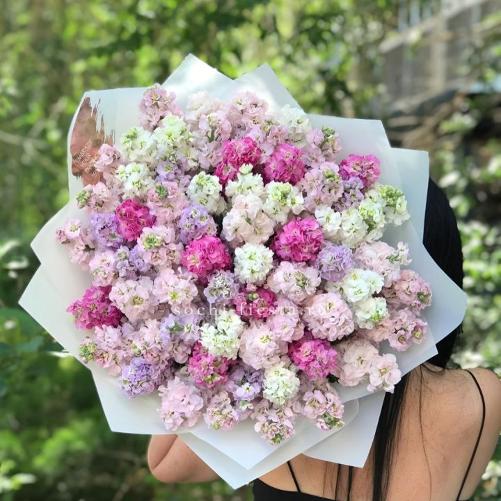 Букет ароматной маттиоллы №3 в Курске