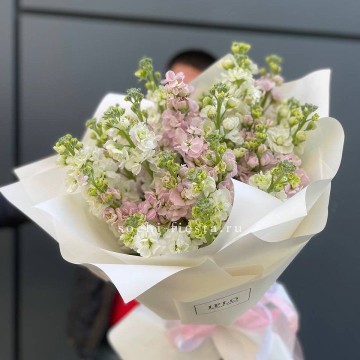 29 маттиол  в Курске