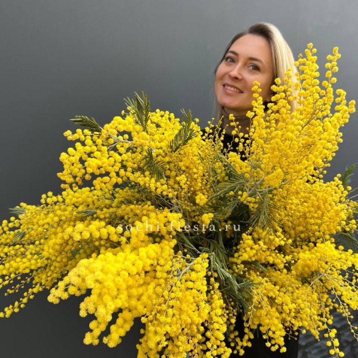 Охапка мимозы №2 в Курске