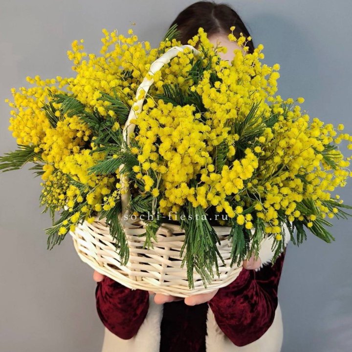 Корзина ароматной мимозы в Курске