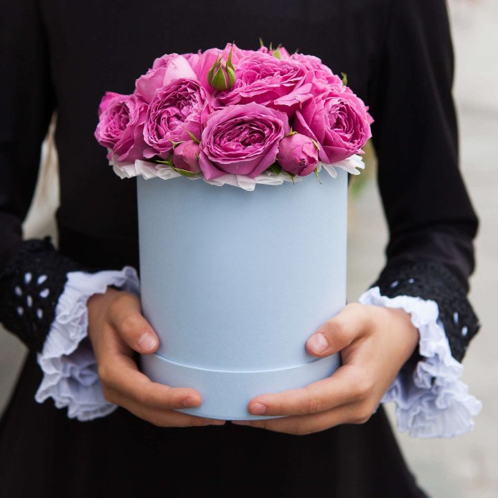 Бокс мини мисти в Курске