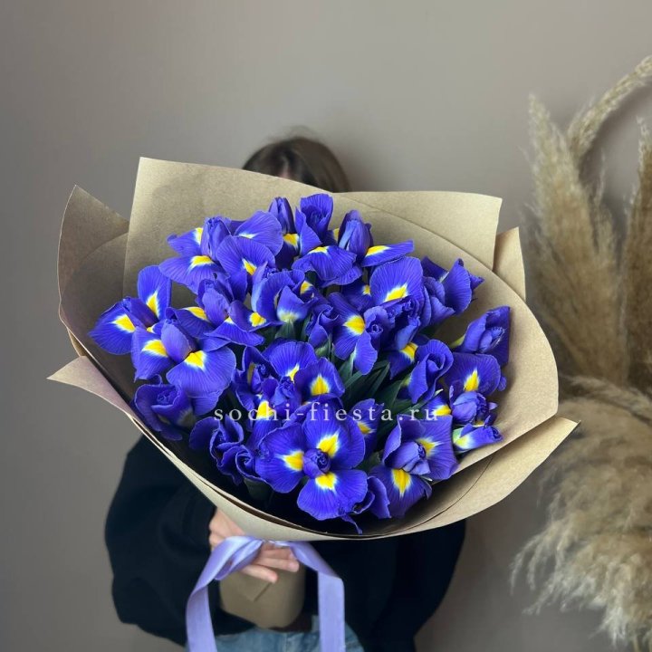 Ирисы в Курске