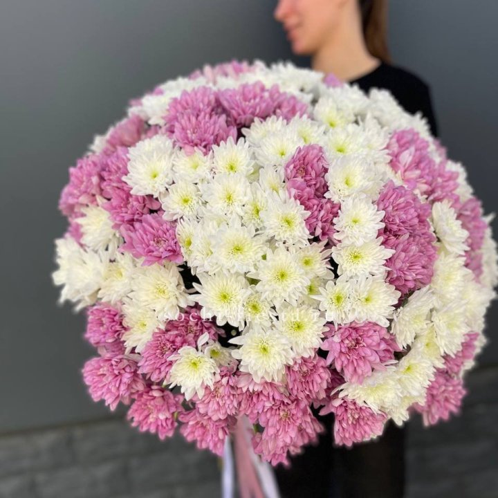  Букет 25 хризантем микс в Курске