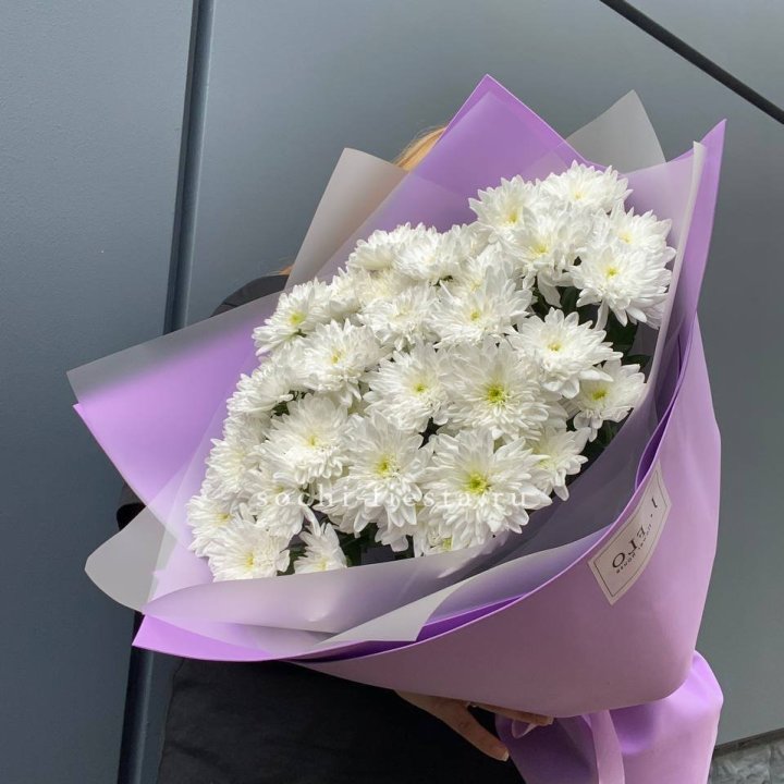  7 хризантем  в Курске