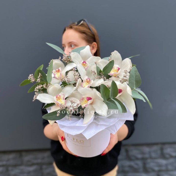 7 орхидей в боксе в Курске