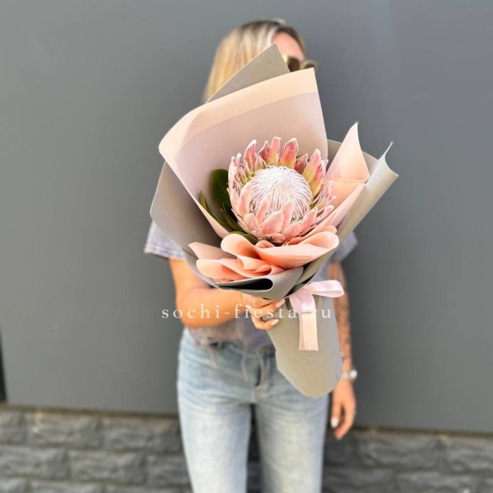 Протея мини  в Курске