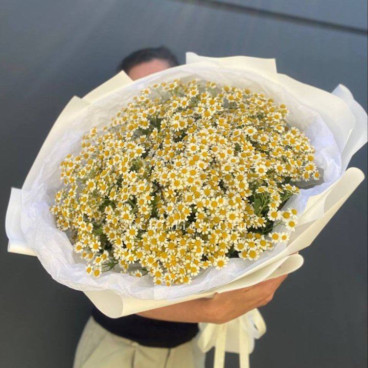 Букет ромашек №2 в Курске
