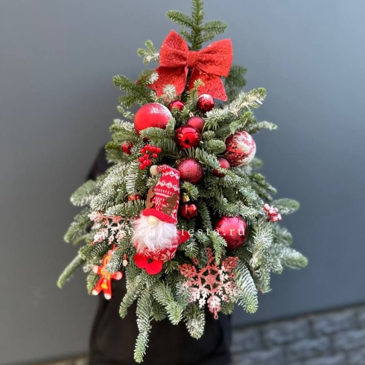 Новогодняя елочка "Ред" в Курске